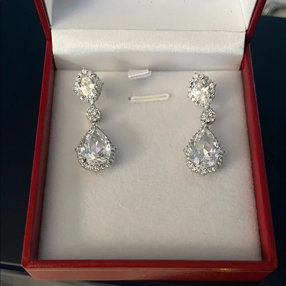 Elegant Silver Drop Earrings